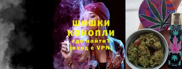трава Белокуриха