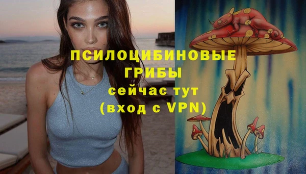 гидра Баксан