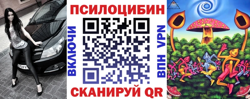 Псилоцибиновые грибы Psilocybine cubensis  Невель 